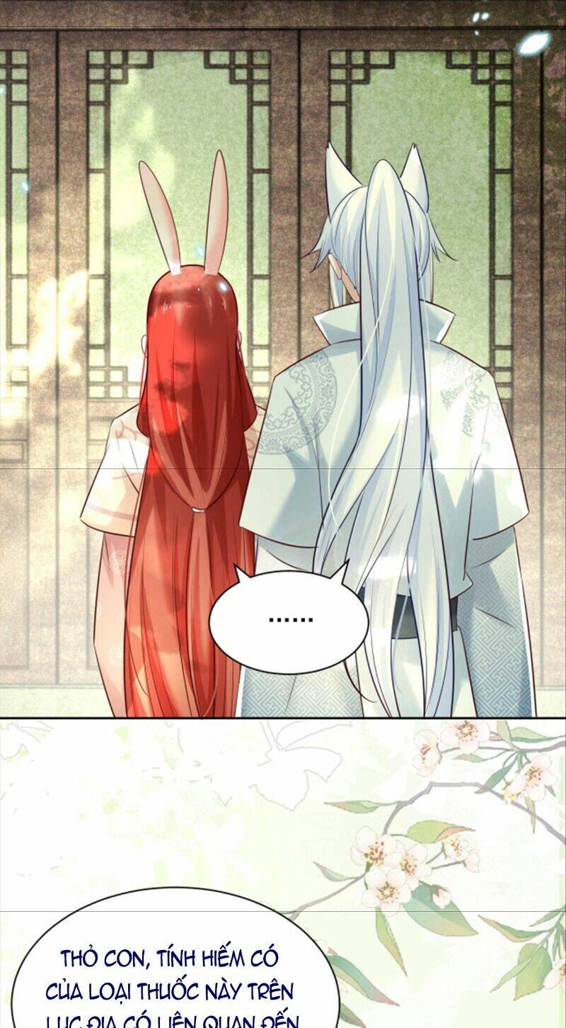 hắc hóa nam chính trực tuyến nuôi thỏ chapter 47 26