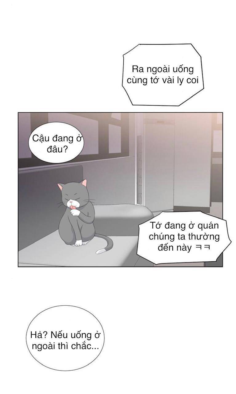 idol và sếp, em yêu ai? chapter 32 28