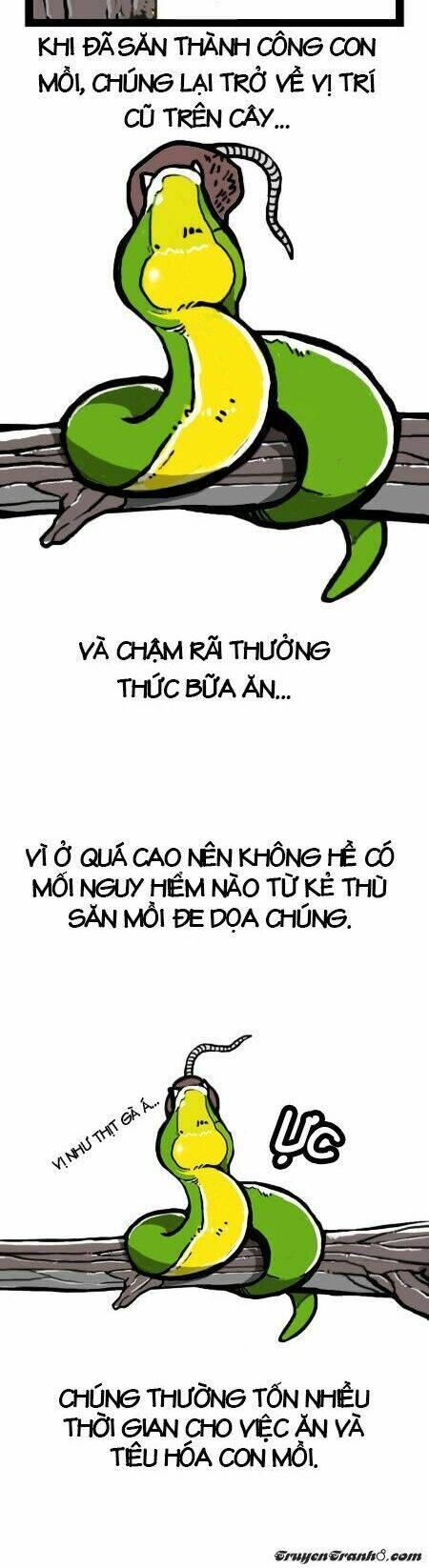 earth, human, and animal chapter 4 7