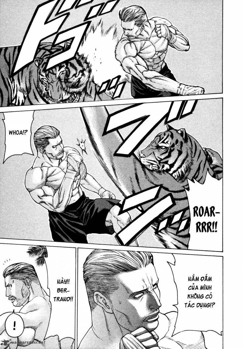 karate shoukoushi kohinata minoru chapter 111 9