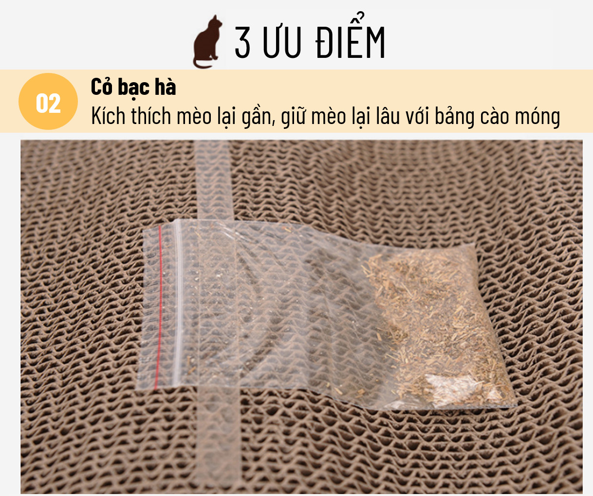 Bàn Cào Móng Dạng Sóng Cho Mèo Lớn - Tặng kèm CatNip - Giúp Mèo Thư Giãn