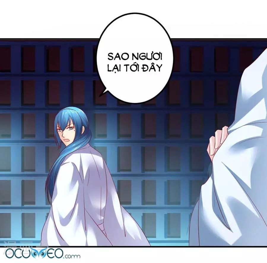 từ đây vương gia không thượng triều sớm chapter 81 44