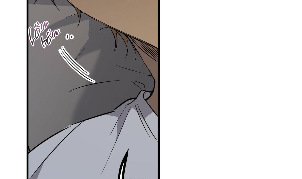 đàn thỏ của habibi chapter 55 60