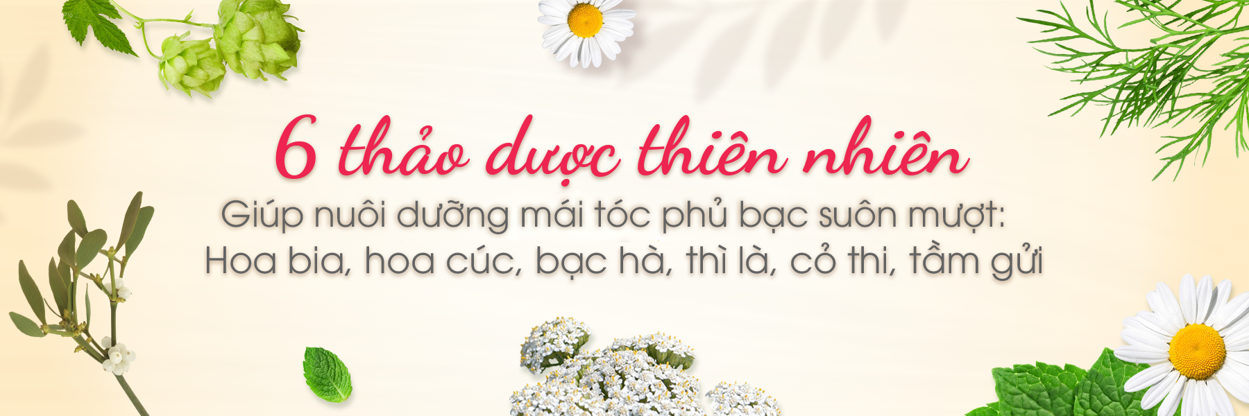 Thuốc nhuộm phủ bạc Bigen Men dành cho nam, nhuộm tóc bạc hoàn toàn, mùi dễ chịu, tiện lợi 80ml dạng kem - BMS 102 Nâu Đen