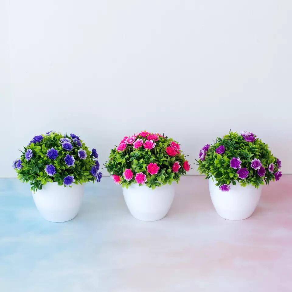 Chậu cây cảnh mini để bàn làm việc kích thước 15x14cm