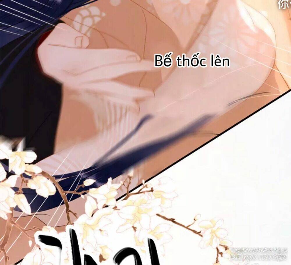 sủng phi của vương chapter 55 22