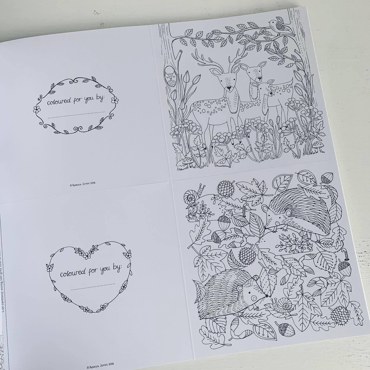 National Trust: The Colouring Book of Cards and Envelopes - Nature