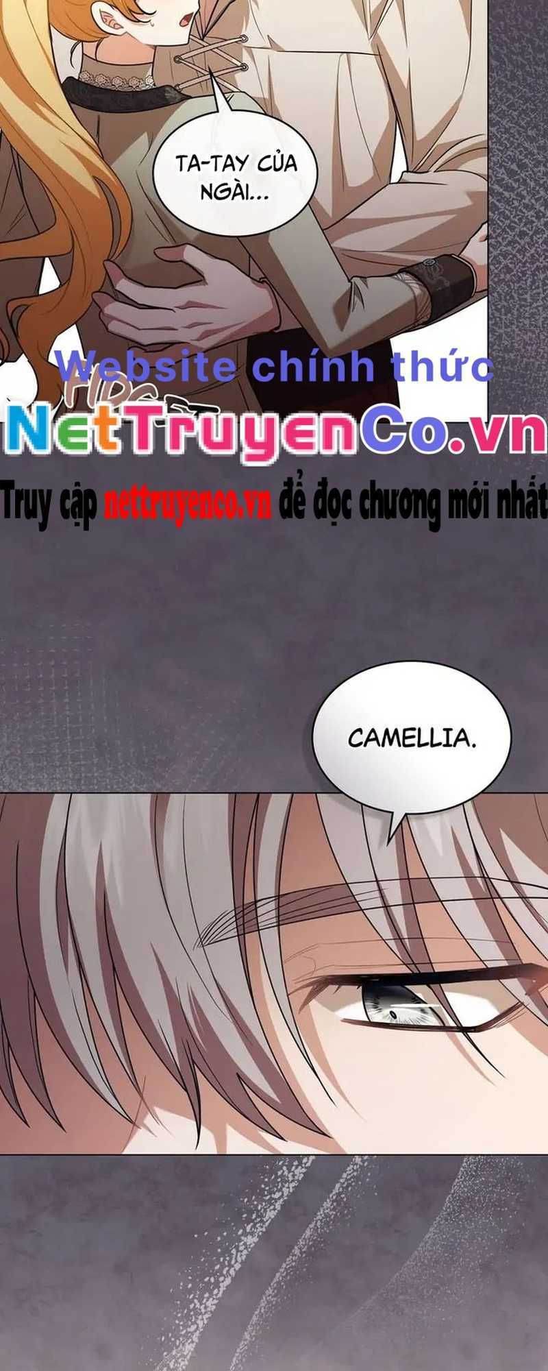 tìm lại camellia chapter 94 41