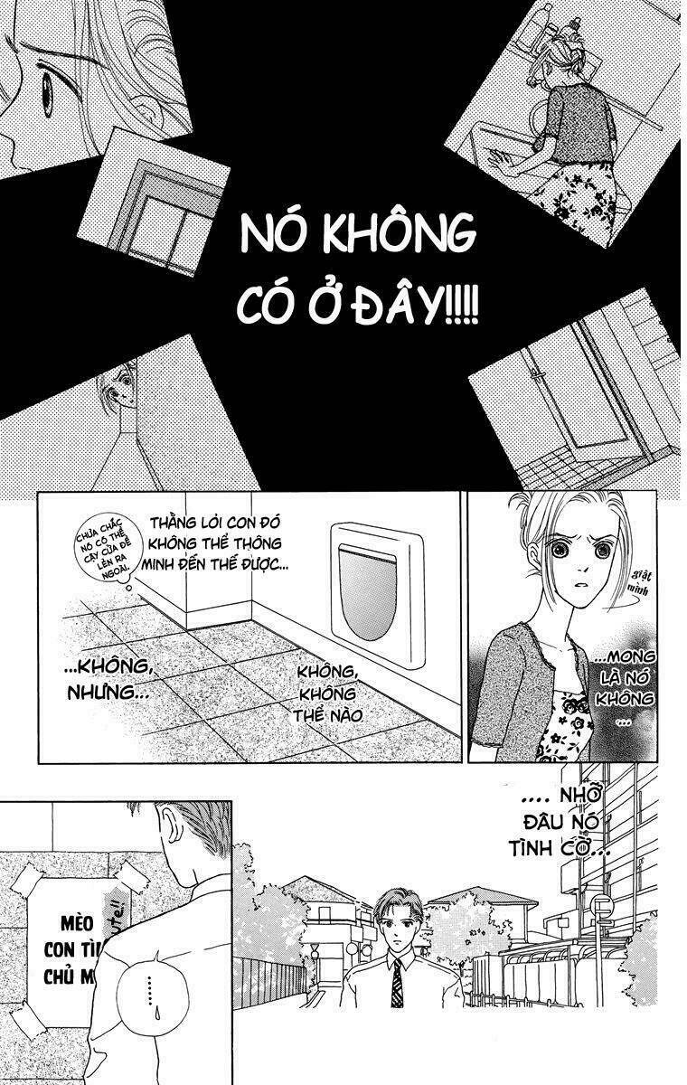 cuộc sống thường nhật của mèo zaccho chapter 1.5 25