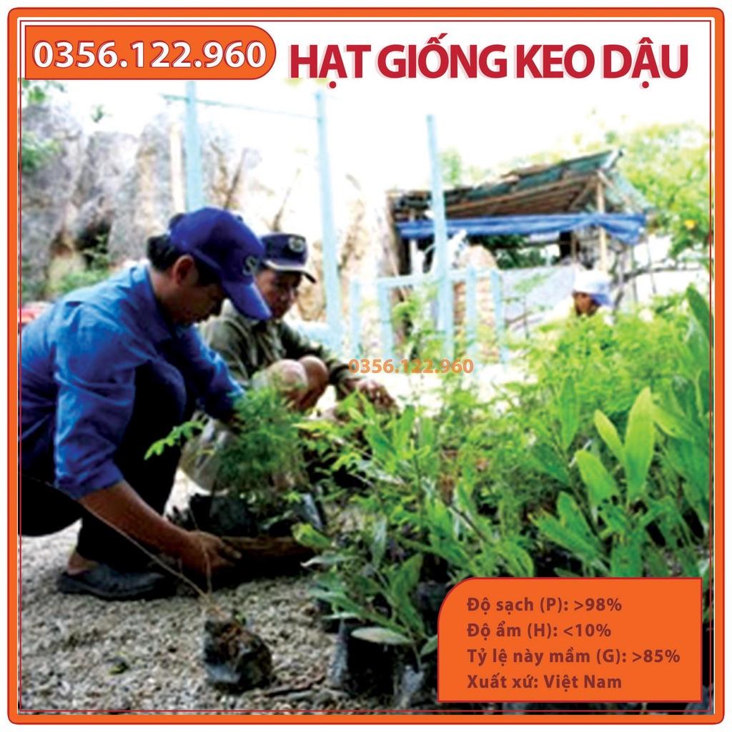 Hạt Giống Keo Dậu - Gói 200g - Hạt Giống táo nhơn - bọ chét - bình linh - keo giun - loại 1