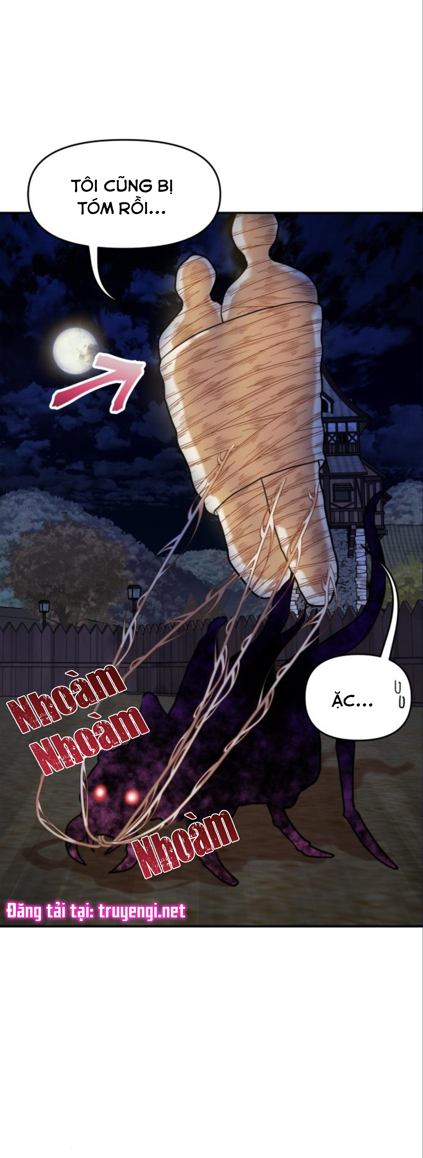 truyện tranh lãng mạn của ropan bing chapter 13 46