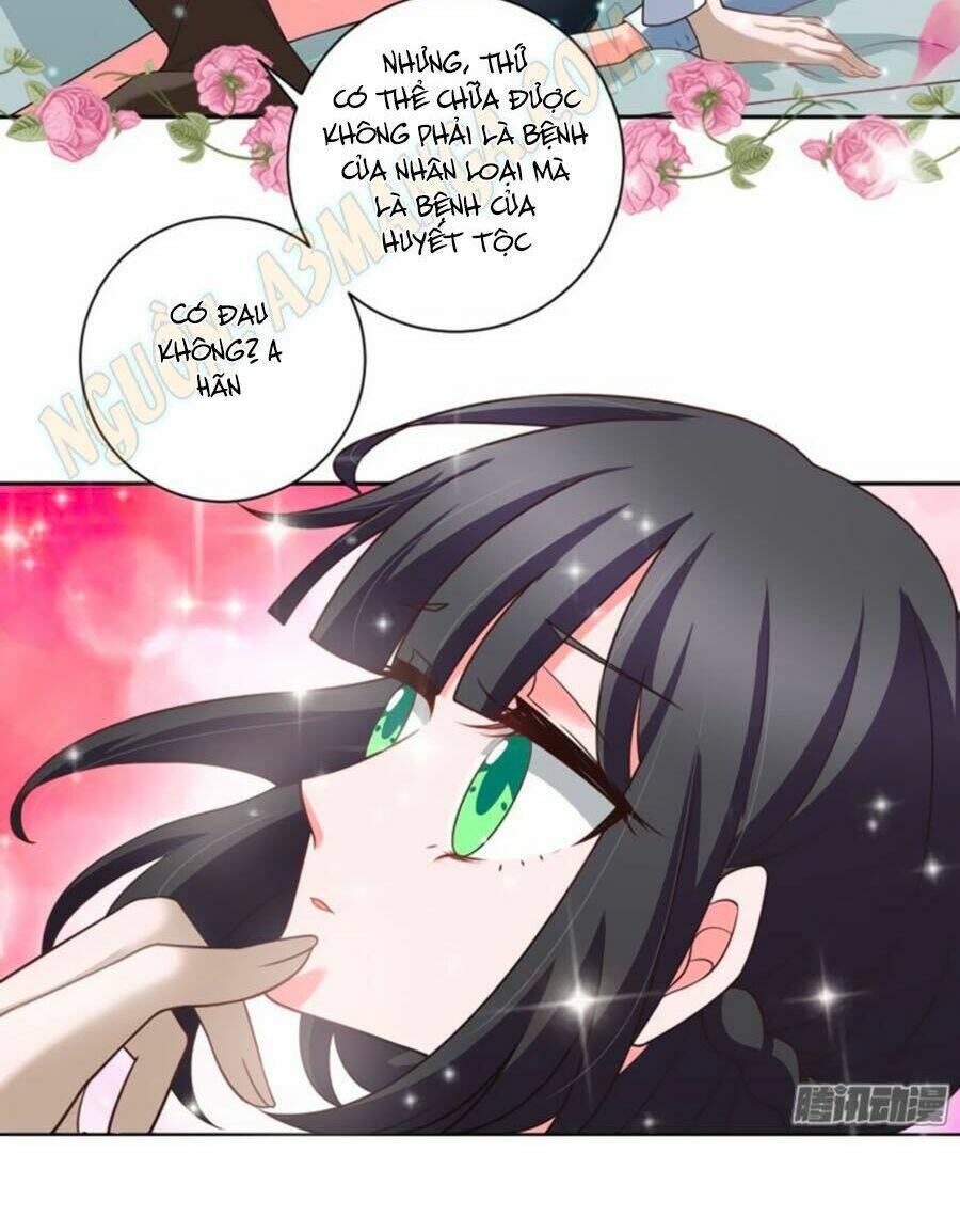 người yêu khát máu của tôi chapter 30 15