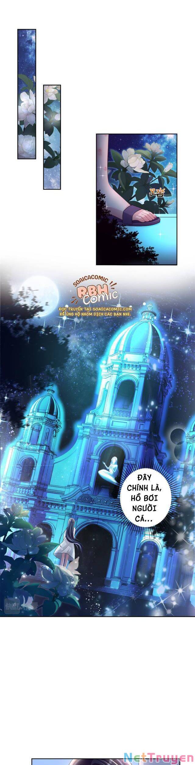 tổng tài huyết tộc cực sủng cô vợ mỹ nhân ngư chapter 6 6