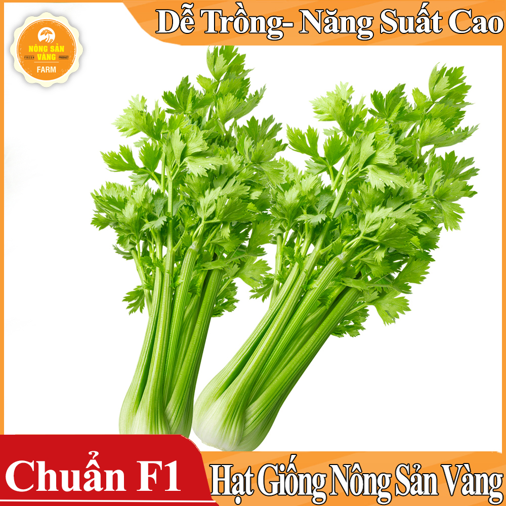 Hạt giống Rau Cần Tây - Nông Sản Vàng