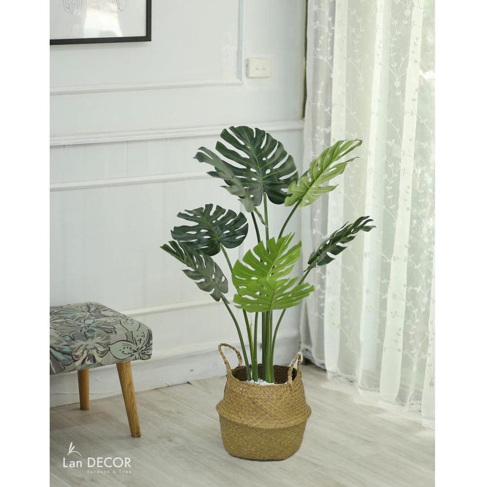 Cây giả - Cây lá xẻ trang trí nhà, ban công, tiểu cảnh đẹp cao 90cm - LC3023