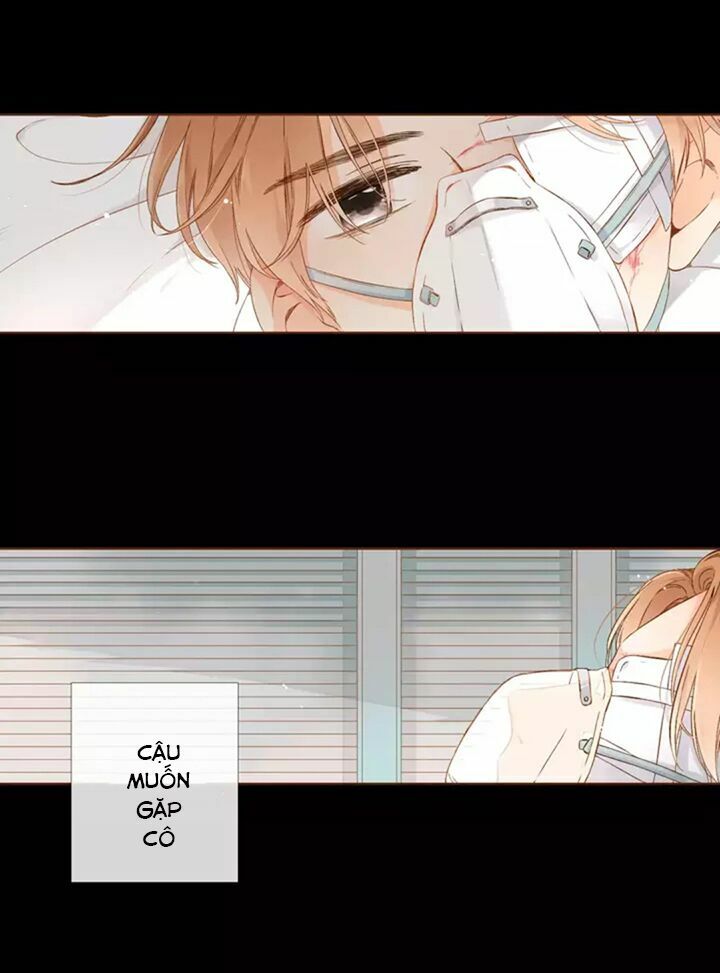 Tình yêu là màu hoa anh thảo chapter 31.2 21