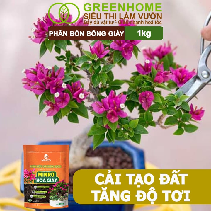 Phân Bón Hoa Giấy Greenhome, Minro, Bao 1kg, Hữu Cơ, Cứng Thân, Tạo Tán, Ra Bông Nhiều, Lâu Tàn