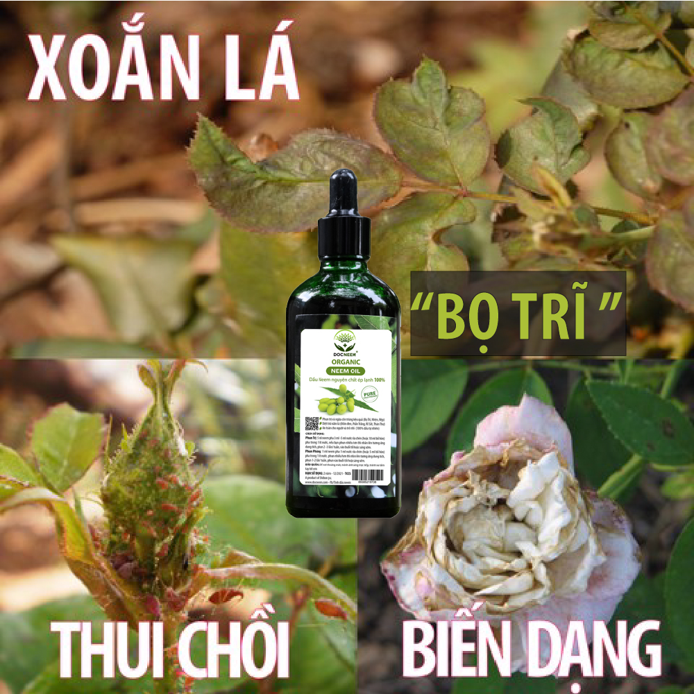 Dầu neem hữu cơ DOCNEEM, chai 50ml, phòng trị sâu bệnh hoa hồng, phong lan, cây cảnh, dầu neem oil nguyên chất ép lạnh