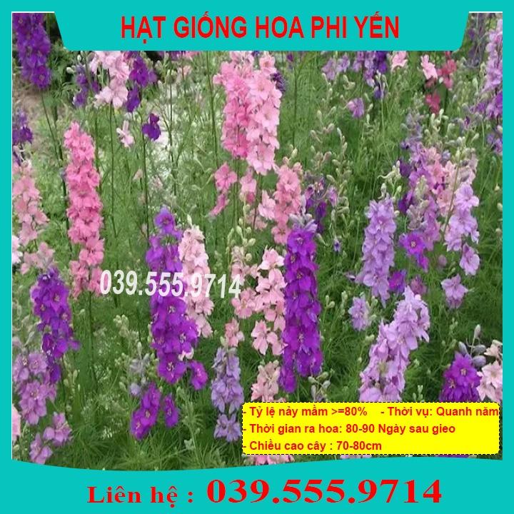 Hạt Giống Hoa Phi Yến Nhiều Màu - Hoa Trồng Chậu