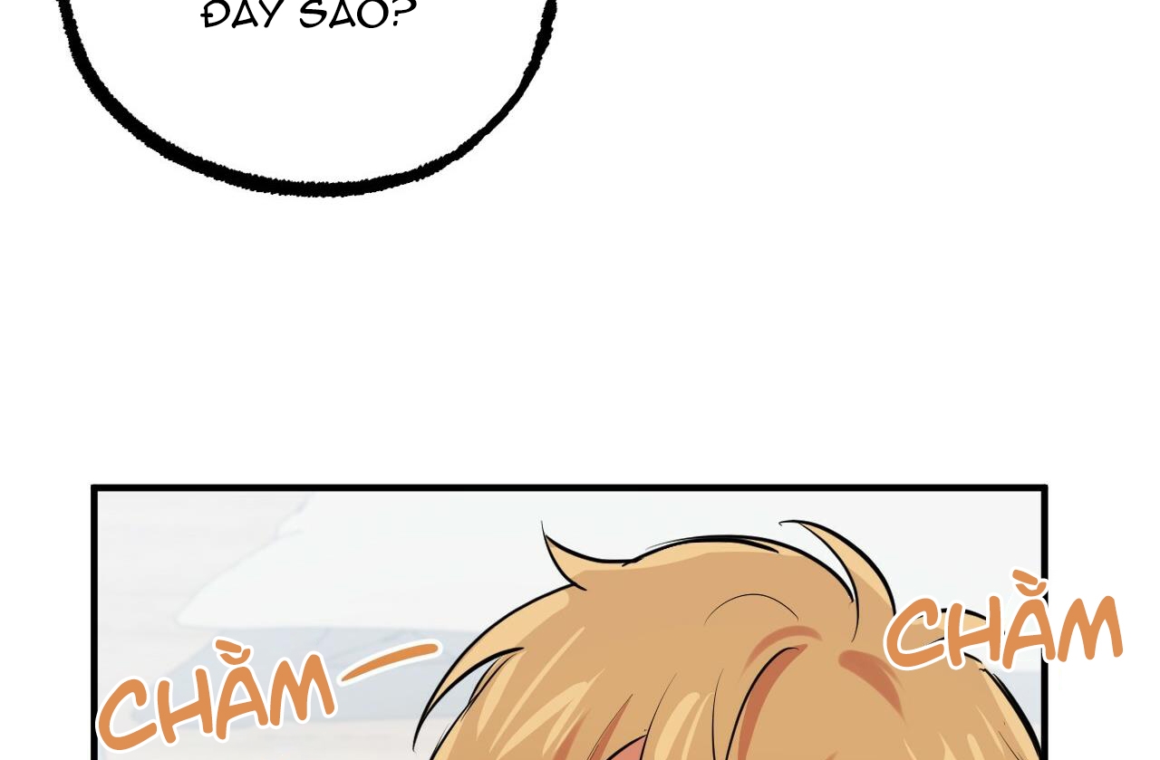 đàn thỏ của habibi chapter 39 144