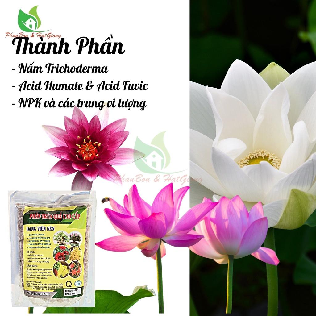 Phân Bón Trùn Quế Nén 1Kg HPD Cao Cấp Phân Bón Hữu Cơ Chuyên Cho Lan Và Cây Kiểng