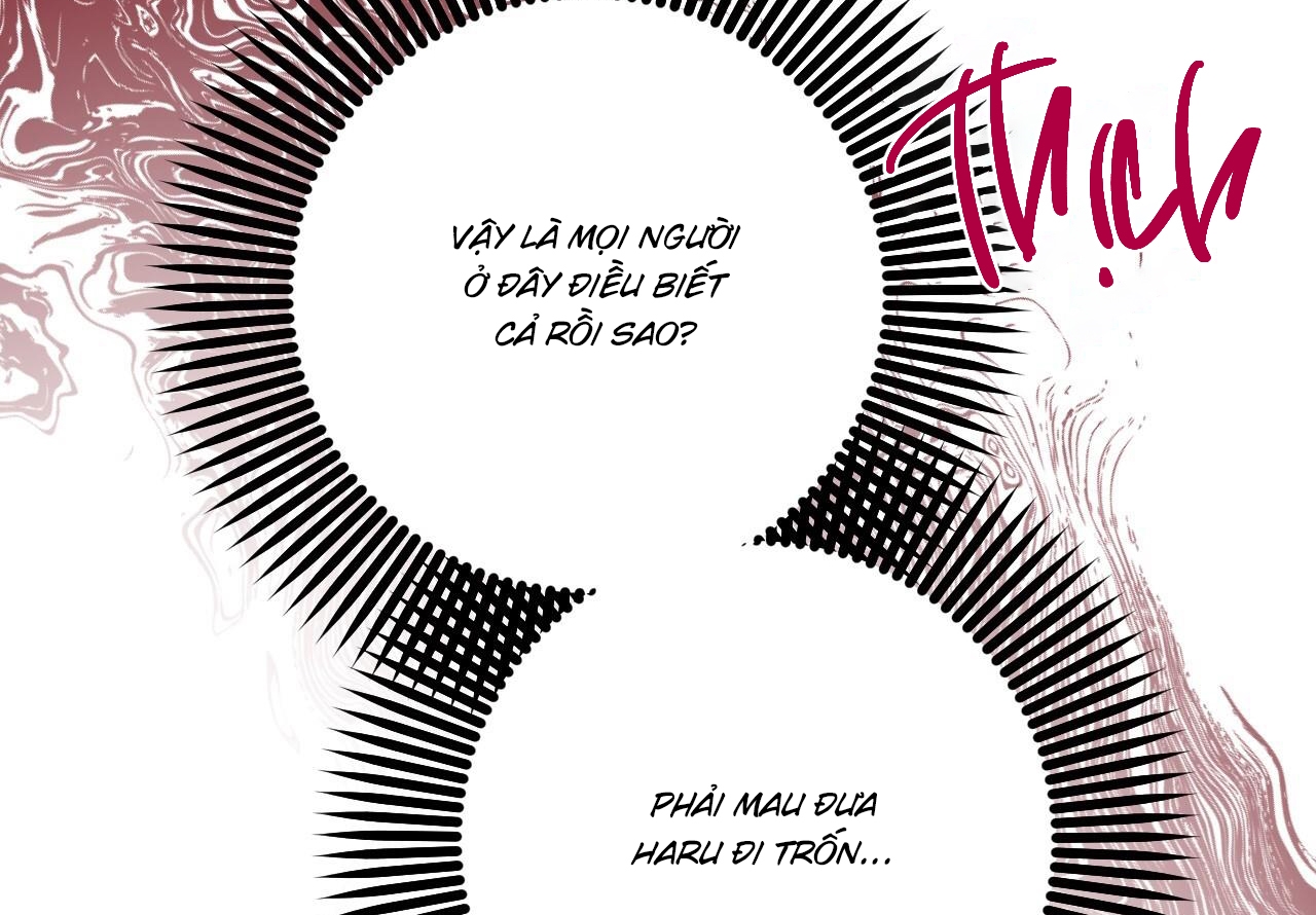 đàn thỏ của habibi chapter 59 212