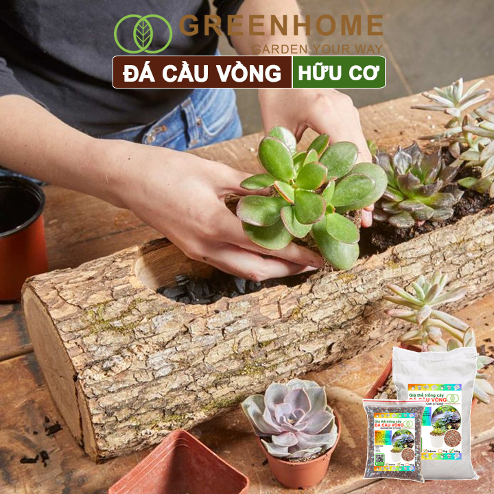 Đá cầu vồng, kích rễ, đậm màu, thoát nước tốt, chuyên xương rồng, sen, bonsai Greenhome