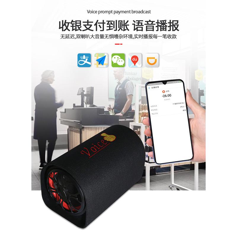 Giao hàng nhanh 5 inch 6 inch 8 inch 10 inch loại đường hầm thẻ cắm âm thanh xe hơi bluetooth công suất cao loa ô tô loa siêu trầm ô tô