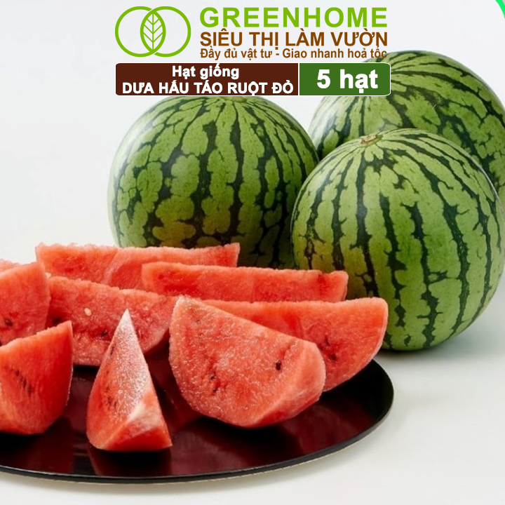 Hạt Giống Dưa Hấu Táo Ruột Đỏ Greenhome, Gói 5 Hạt, Dễ Trồng Quanh Năm, Nảy Mầm Cao, T23