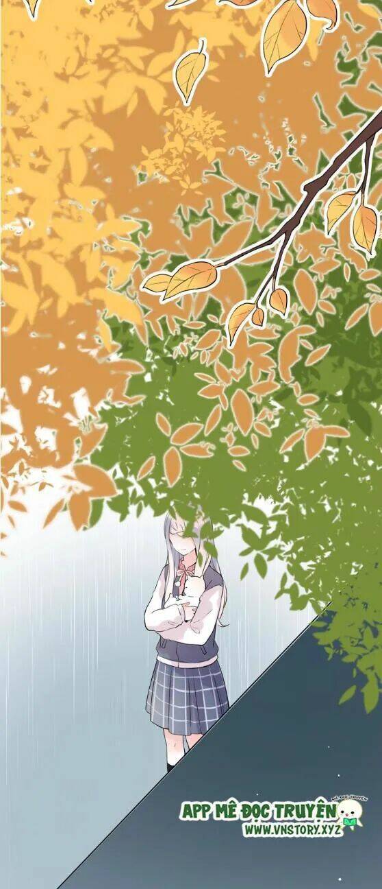 trạch thượng tịch mịch huỳnh hỏa chapter 42 71