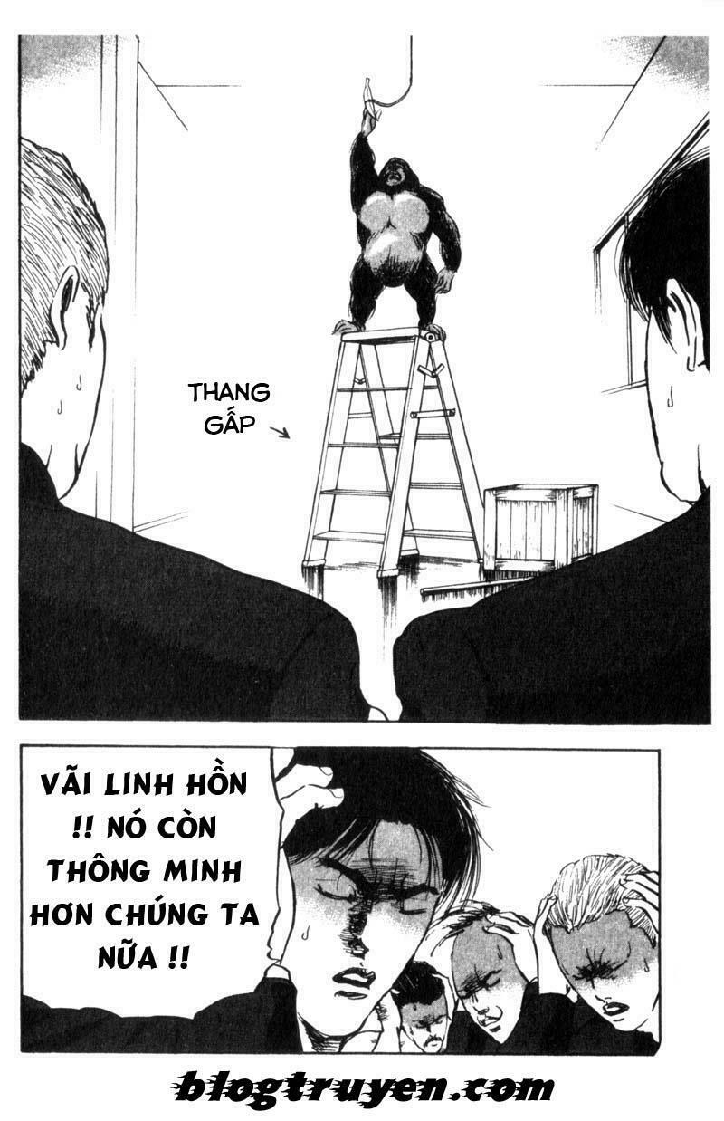 cromartie high school chapter 11 6