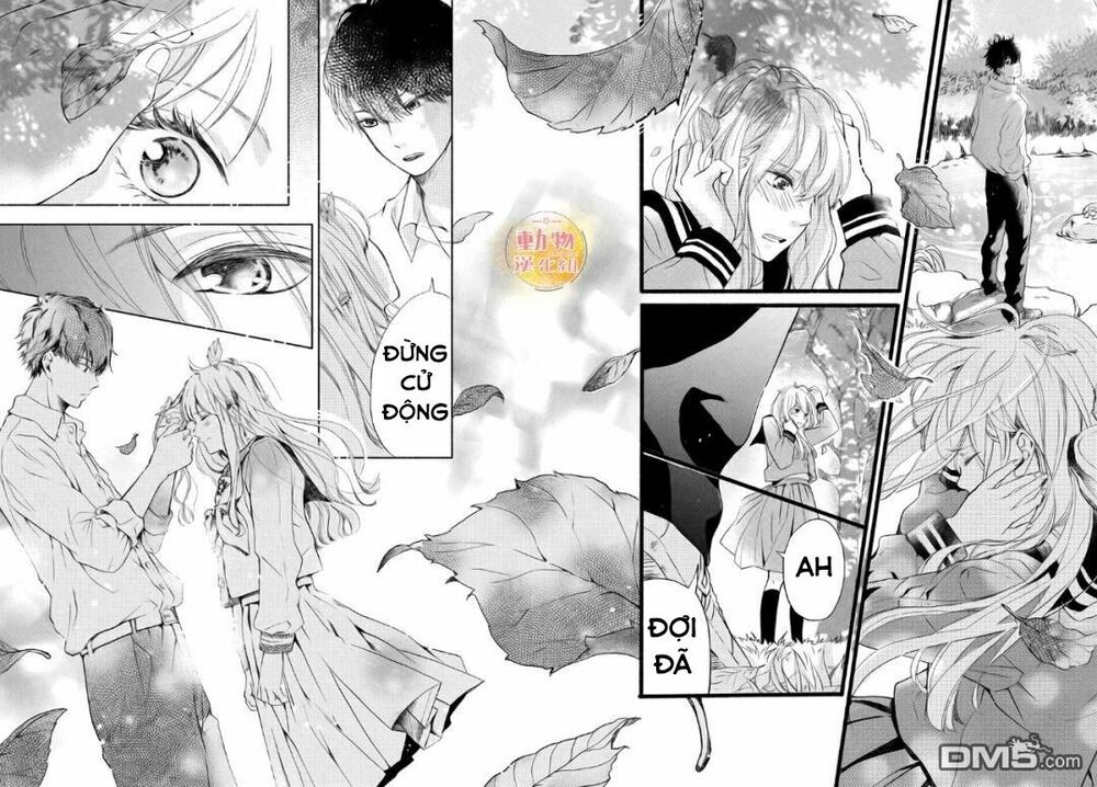 cô gái nhút nhát và kẻ đáng sợ chapter 2 40