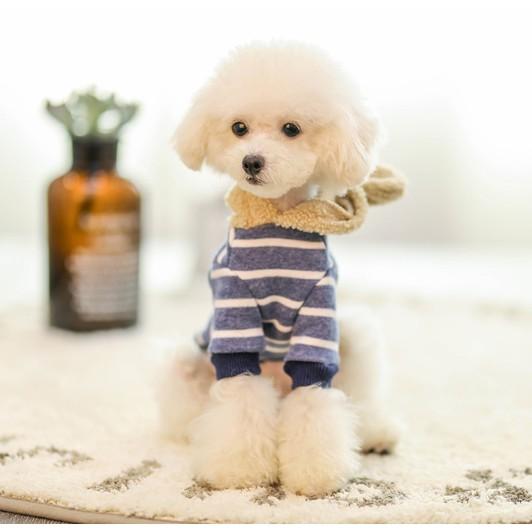 Cheepet Áo Hoodie mũ có tai cho chó mèo / Thú cưng
