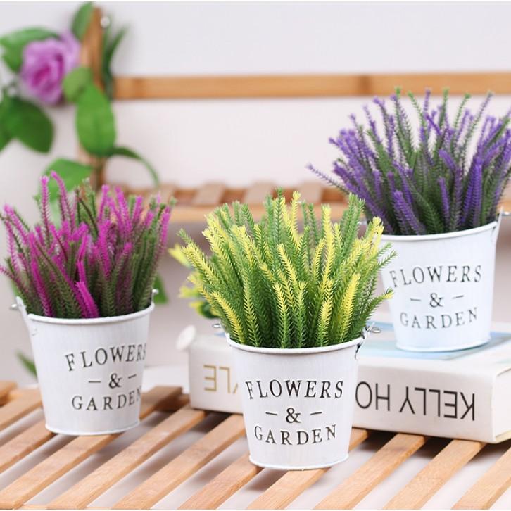 Xô thiếc và cỏ nhánh nhọn, hoa giả