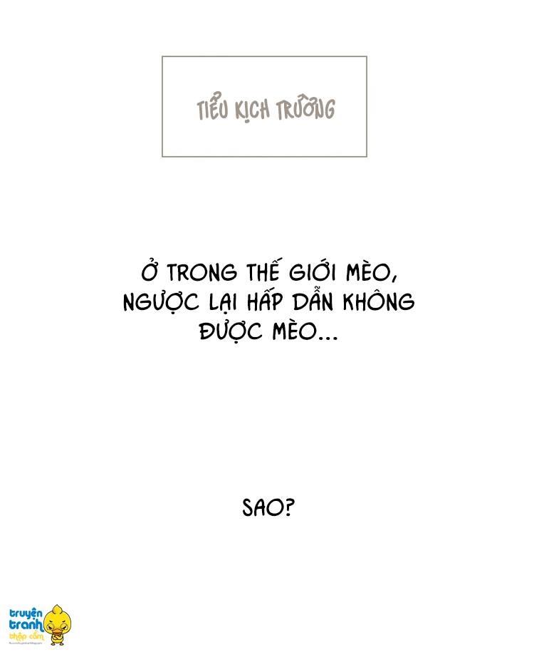 cứu mạng ! loài mèo thống trị thế giới rồi ! chapter 13 25