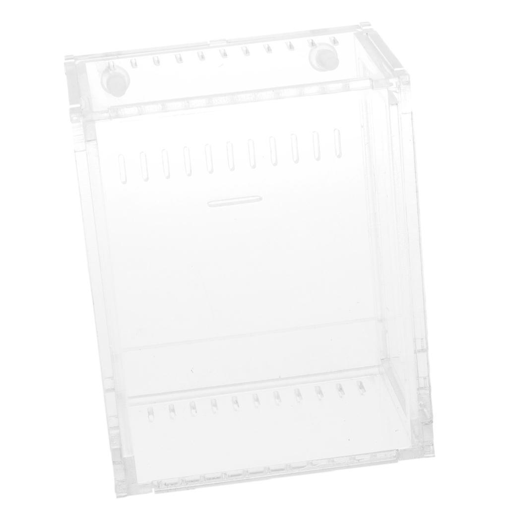 Reptile Terrarium Amphibian Habitat for Mini Pet Houses Acrylic Box Clear