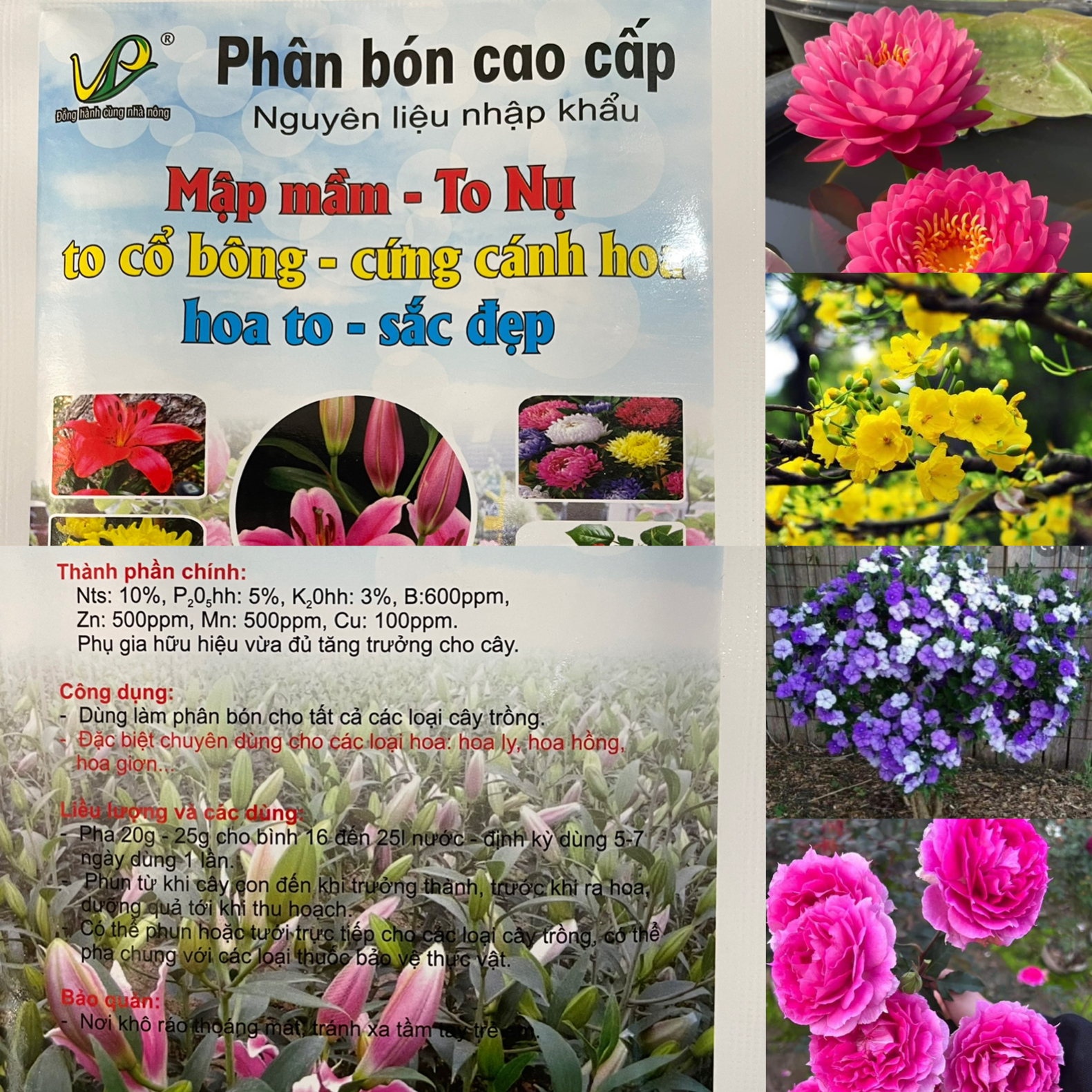 Phân bón cao cấp dùng cho hoa; thúc mập hoa, to nụ, hoa tươi sắc, lâu tàn