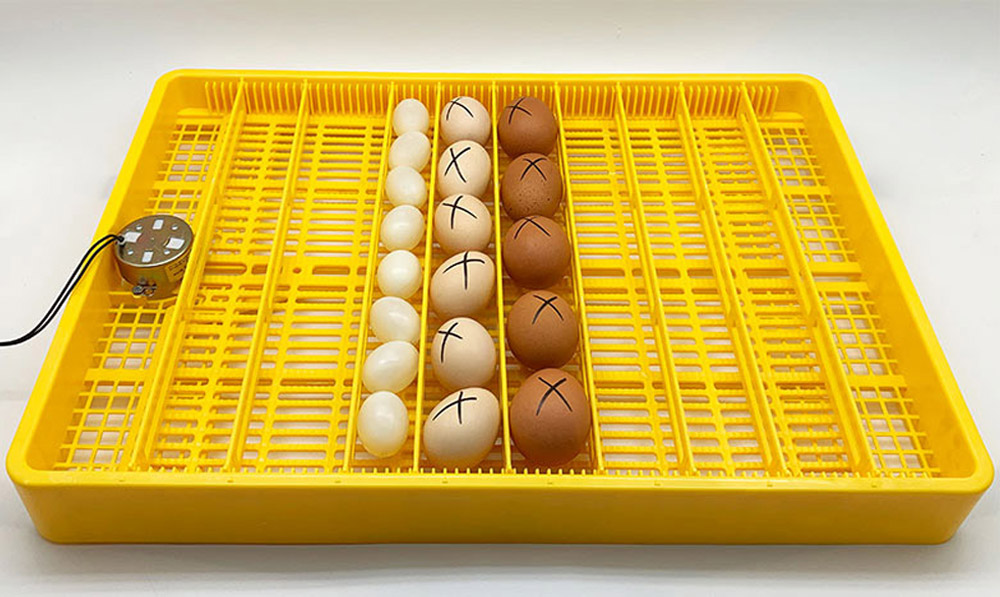 Khay Đảo Trứng Ánh Dương Tự Động Ấp 50-60 Quả-Hàng Chính Hãng