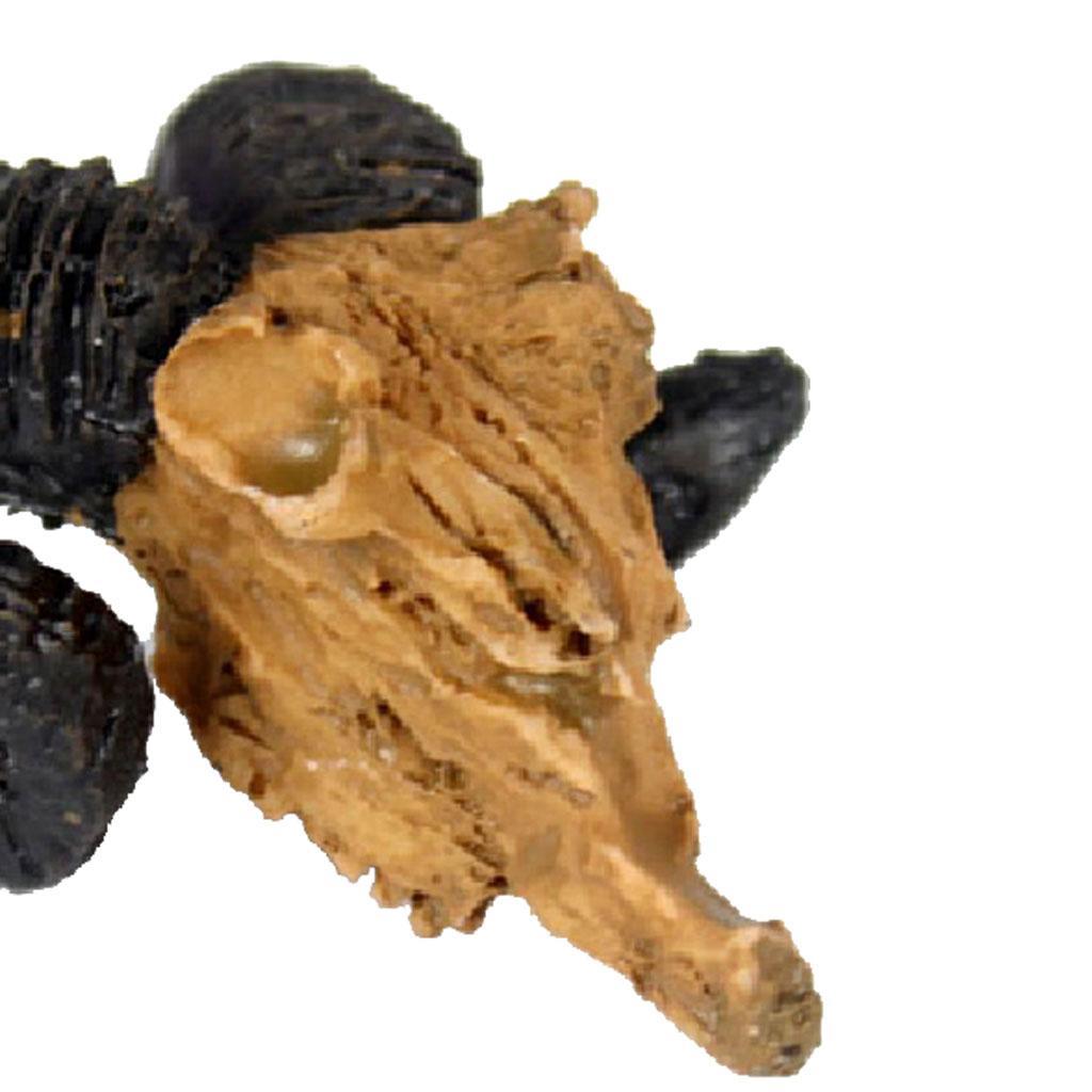 Pair Skull Design Terrarium Vivarium Decoration Landscape Decoration DIY