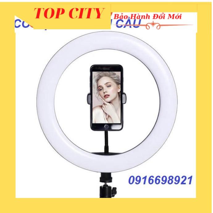 Đèn lẻ Led 26cm Có Kẹp Điện Thoại và Bi cầu Dây remote livestream
