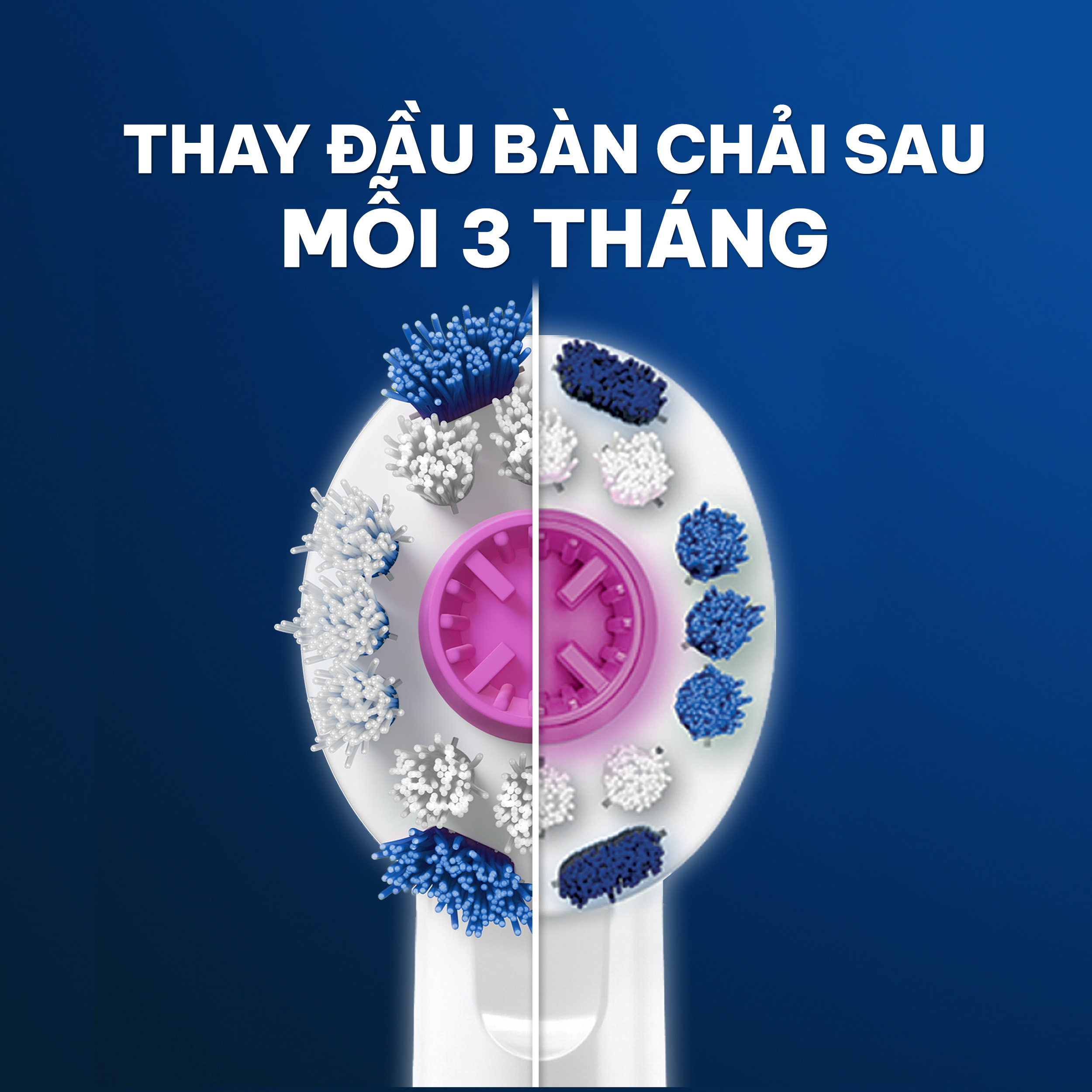 Combo Đầu Bàn Chải Điện ORAL-B 3D WHITE Làm Trắng và Làm Sạch Mảng Bám Hộp 2 Cái x2