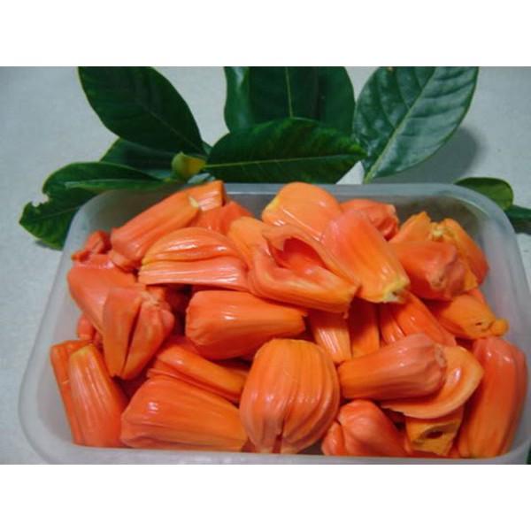 Cây giống Mít ruột đỏ sơ đỏ