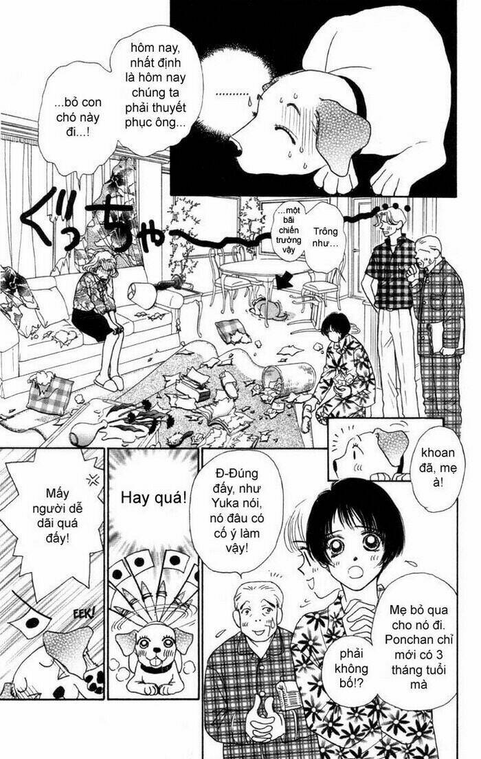 guru guru ponchan chapter 1 8