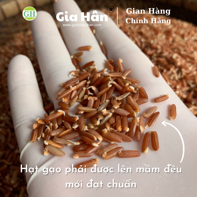 TRÀ GẠO LỨT GIẢM CÂN GIA HÂN , GIẢM MỠ  [ 300G] 100% Thiên nhiên