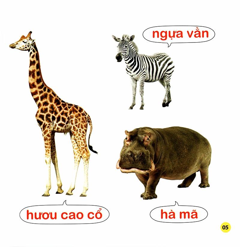 100 Từ Đầu Đời Của Bé: Con Vật (Tái Bản 2023)