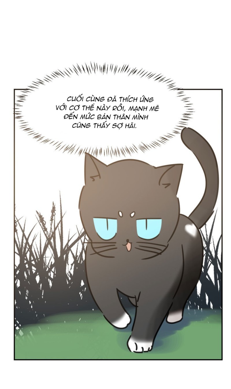 Bắt Lấy Ngao Ngao chapter 25 - Trang 31