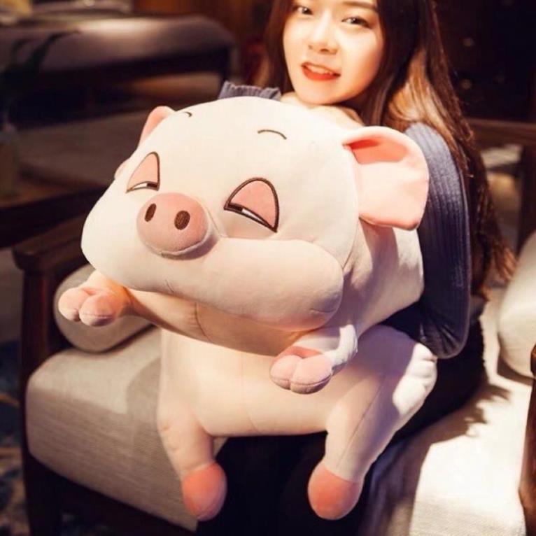 Gấu Bông Heo Phê Cần, Heo Mắt Híp Lợn Ngủ Đờ Đẫn Siêu Yêu size 40cm