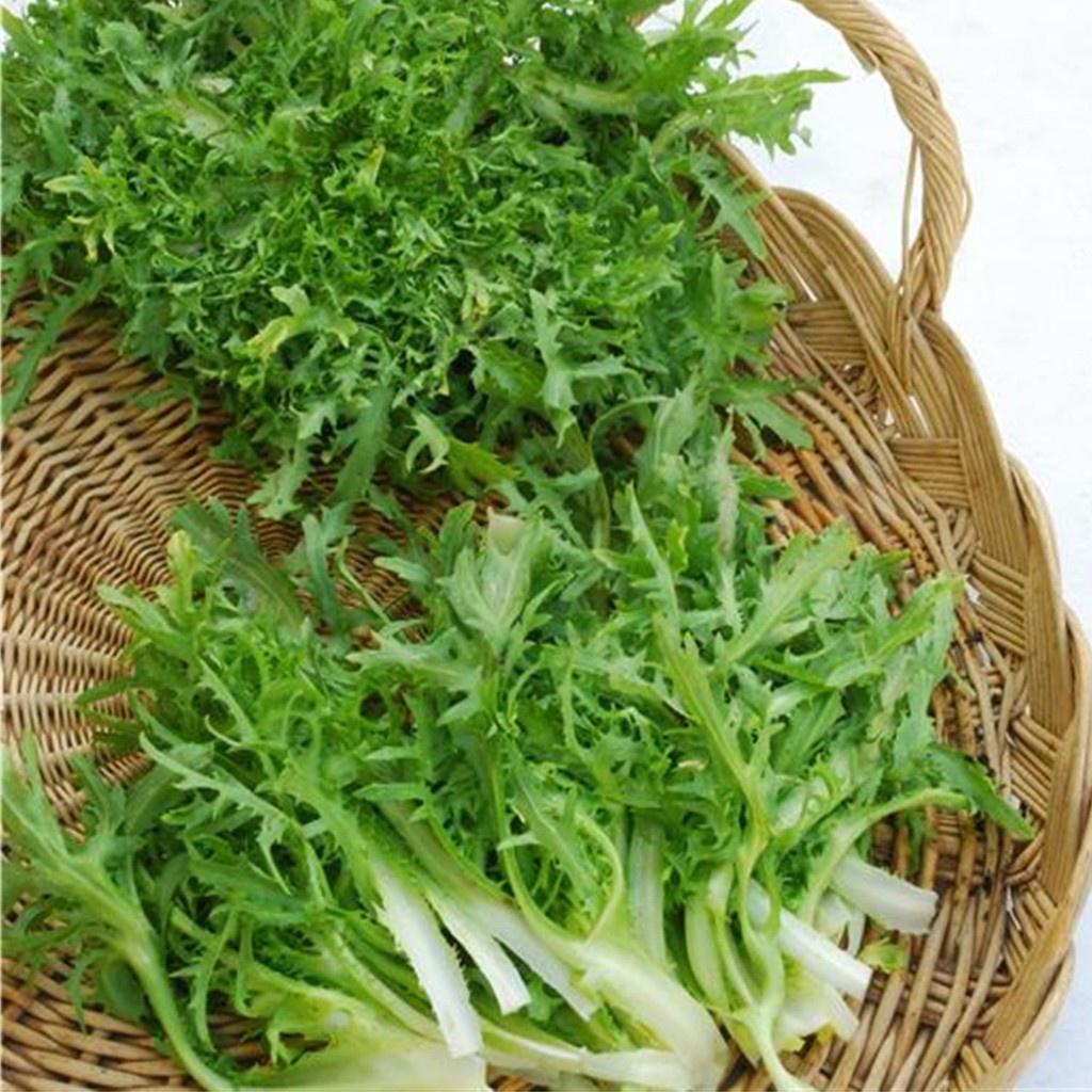 Hạt giống rau cải rau cải xanh nhật dể trồng f1- gói 10 gram-tặng kèm gói phân bón lót