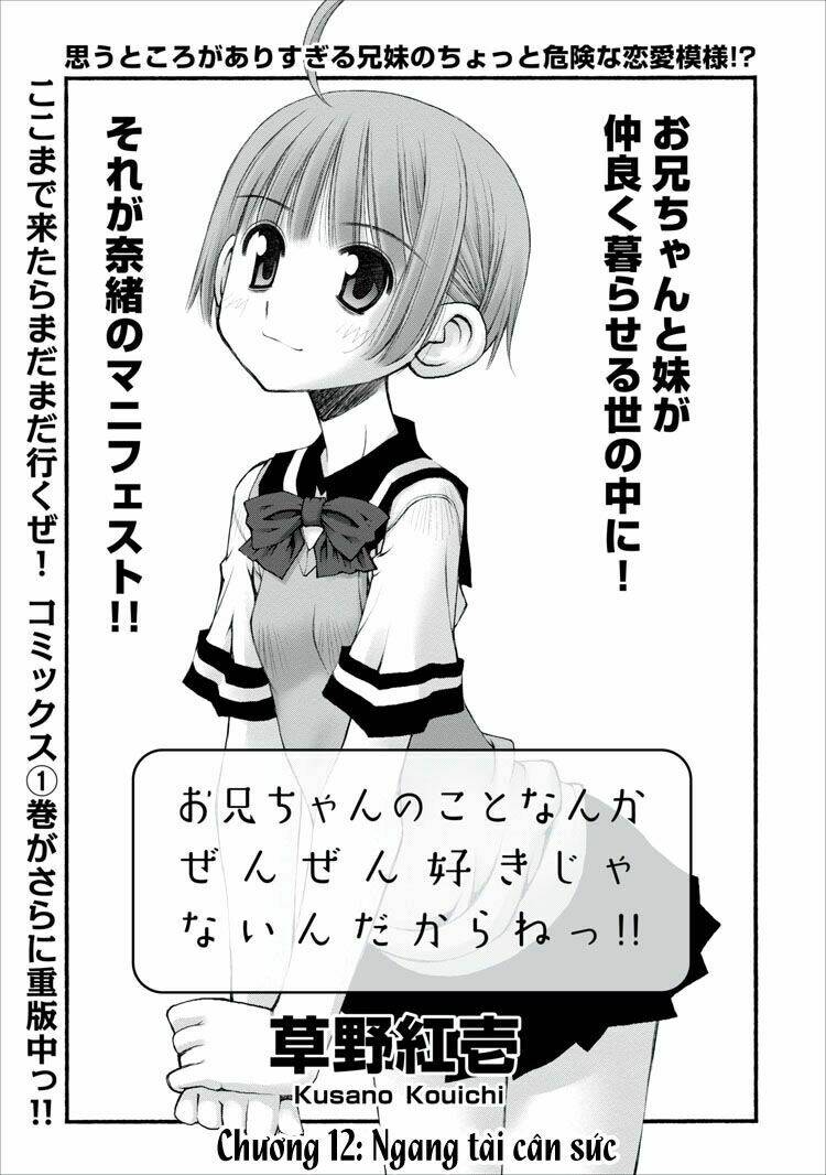 oniichan no koto nanka zenzen suki ja nai n da kara ne!! chapter 12 8