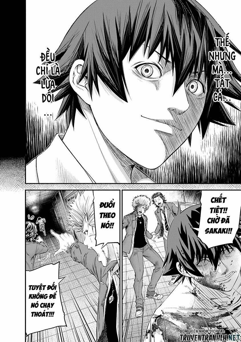 signal 100 chapter 22 4